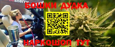 дмт Канаш