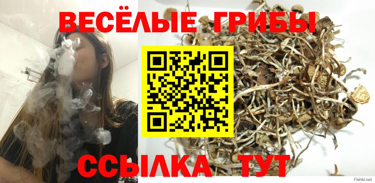 Галлюциногенные грибы Psilocybine cubensis Кубинка