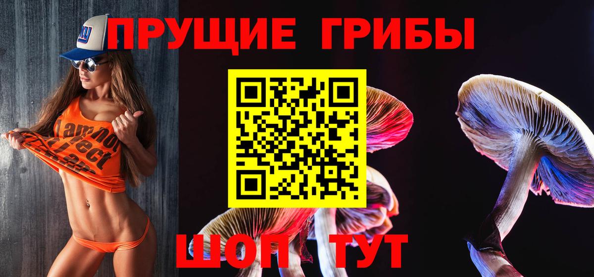 Галлюциногенные грибы Magic Shrooms  купить закладку  Кубинка 