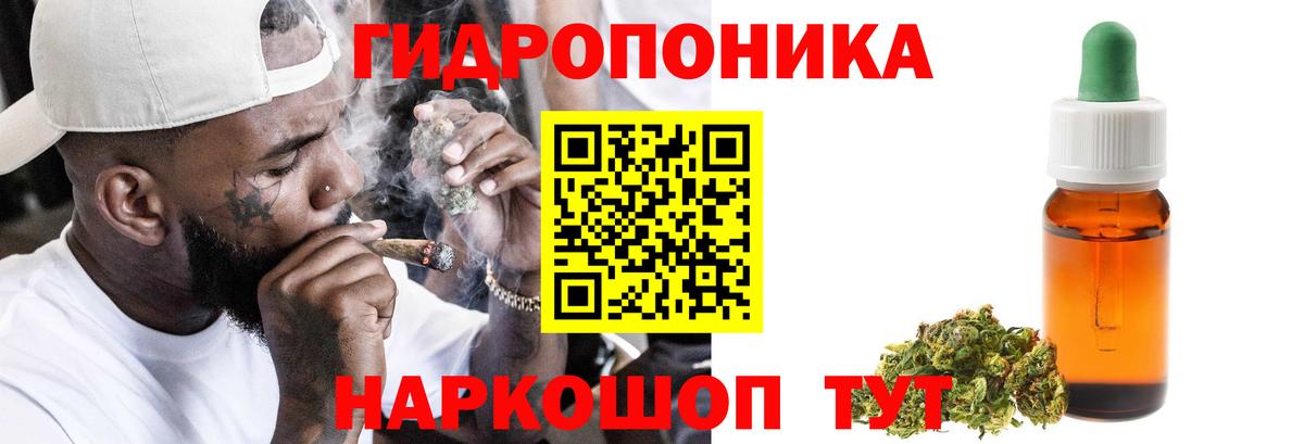 Конопля Amnesia  Вход с VPN  Кубинка  Марихуана сатива 